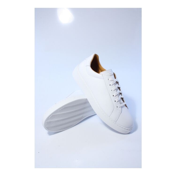 Magnanni 24720 24720 - www.romeyntailors.nl - Romeyn Tailors