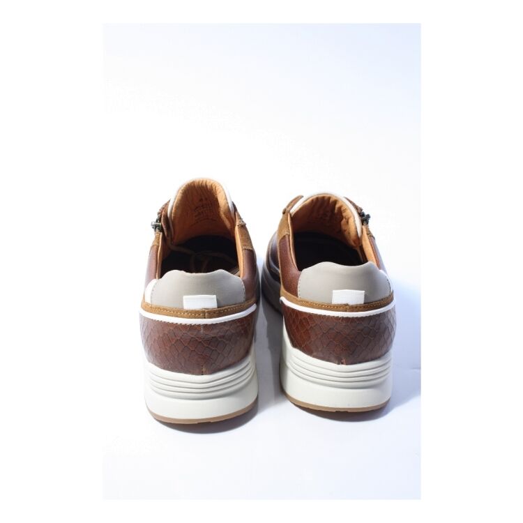 Australian Connery 15.1646 Connery 15.1646 - www.romeyntailors.nl - Romeyn Tailors