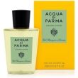 Acqua Di Parma Colonia Futura Hair and Shower g Colonia Futura Hair and Shower g - www.romeyntailors.nl - Romeyn Tailors