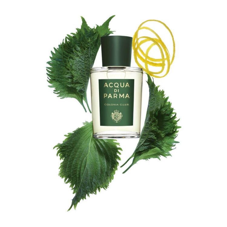 Acqua Di Parma Colonia Club EDC 100 ML Colonia Club EDC 100 ML - www.romeyntailors.nl - Romeyn Tailors