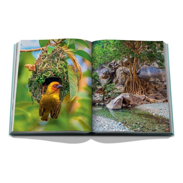 Assouline 9781649800848 9781649800848 - www.romeyntailors.nl - Romeyn Tailors