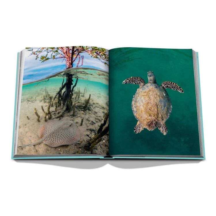 Assouline 9781649800848 9781649800848 - www.romeyntailors.nl - Romeyn Tailors