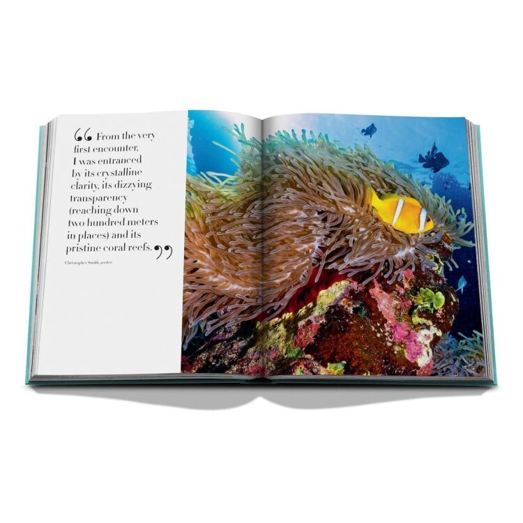 Assouline 9781649800848 9781649800848 - www.romeyntailors.nl - Romeyn Tailors