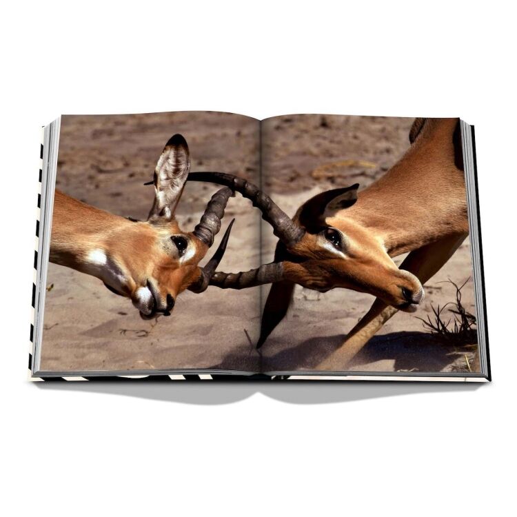 Assouline 9781649801999 9781649801999 - www.romeyntailors.nl - Romeyn Tailors