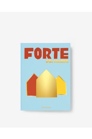 Assouline 9781649803481