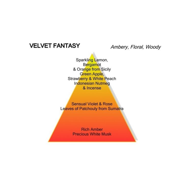 Montale 107170 107170 - www.romeyntailors.nl - Romeyn Tailors