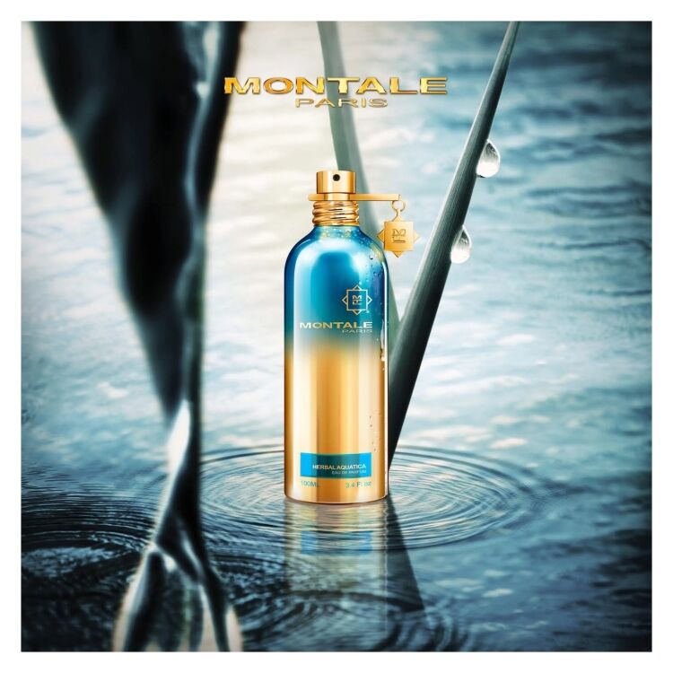 Montale Herbal Aquatica 100ML EDP 114730 Herbal Aquatica 100ML EDP 114730 - www.romeyntailors.nl - Romeyn Tailors