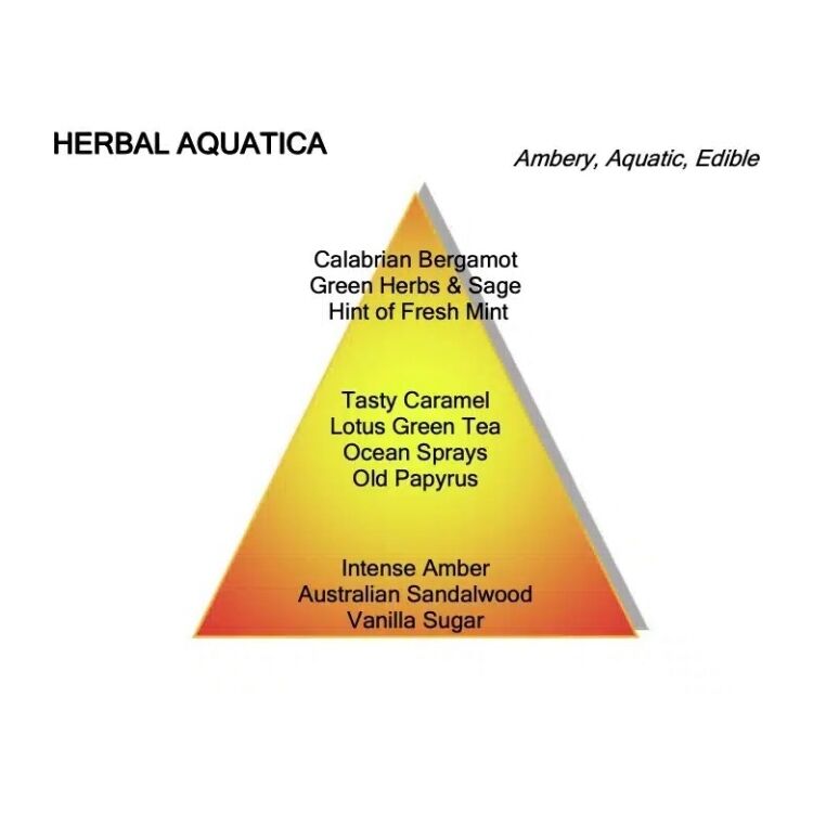 Montale Herbal Aquatica 100ML EDP 114730 Herbal Aquatica 100ML EDP 114730 - www.romeyntailors.nl - Romeyn Tailors