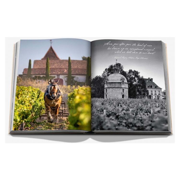 Assouline 9781649803849 9781649803849 - www.romeyntailors.nl - Romeyn Tailors