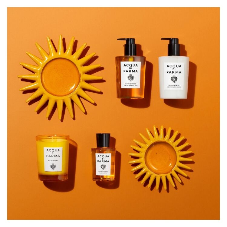 Acqua Di Parma B. Hand & Body L. 300 ML B. Hand & Body L. 300 ML - www.romeyntailors.nl - Romeyn Tailors