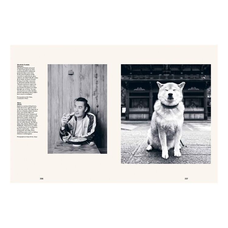 Van Ditmar 9780500971079 9780500971079 - www.romeyntailors.nl - Romeyn Tailors