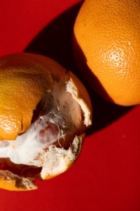 Mancera Xplicit Poppy 120 ML EDP diversen